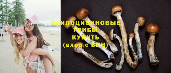 стафф Заволжье