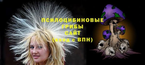 стафф Заволжье